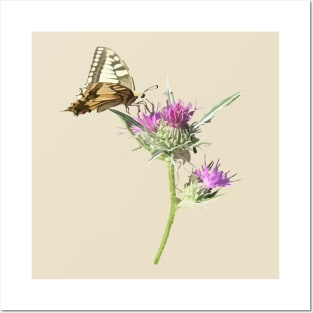 Scarce Swallowtail Butterfly Resting On Thistle Flower Posters and Art